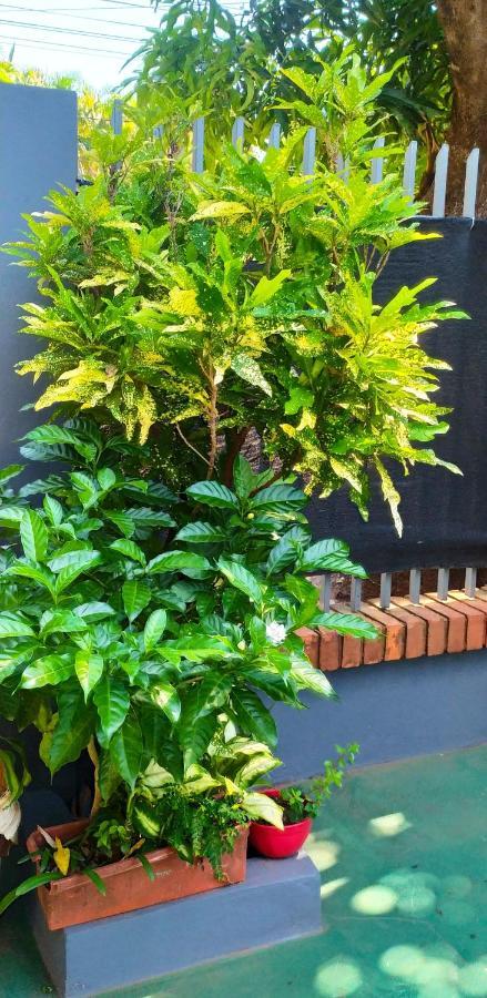 Miguel Departamentos 1 Apartment Puerto Iguazu Ngoại thất bức ảnh